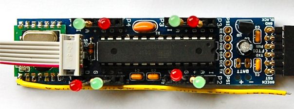 Dsc 1385 2