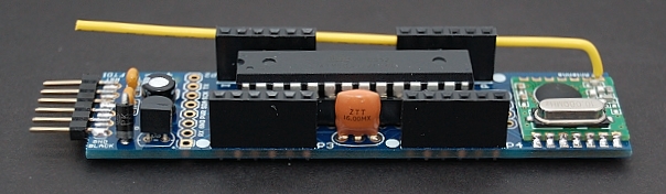Img 20101003 10