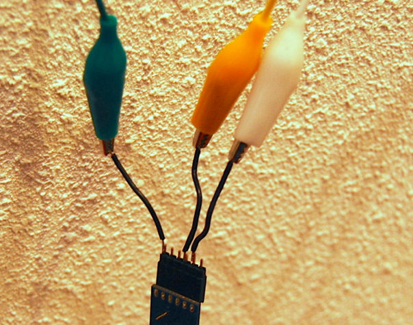 DSC 4251