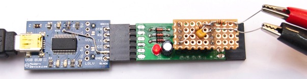 DSC 5013