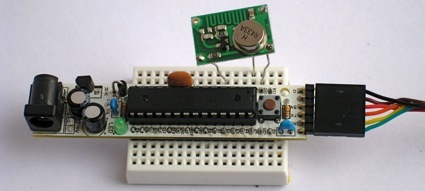 22545025-0C64-4DBE-9519-A1CC31BB8891.jpg