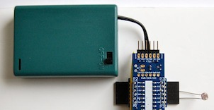 DSC_0824.jpg