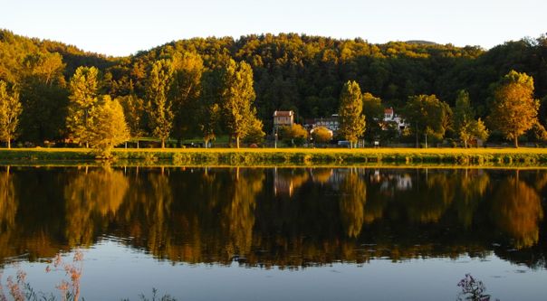 Reflection